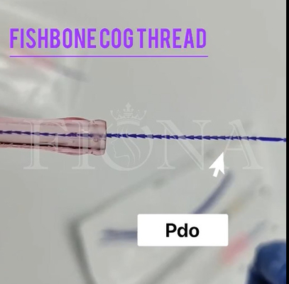 PDO PCL PLACL Barbed Molding Cog Thread Flat Sculpted Absorbable For Face Lifting