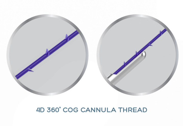 PDO PCL PLLA  4D COG Cannulla Thread Lift 19G-100mm For Non Surgical Face Lifting